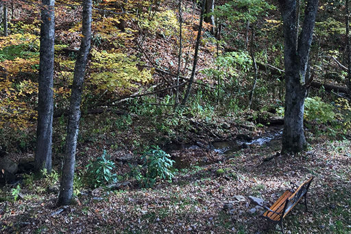 Meadow and stream in fall in Mountain Creek Cabin in Maggie Valley, NC