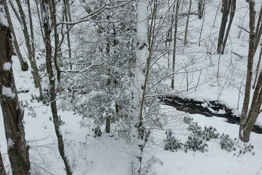 Meadow and stream in winter in Mountain Creek Cabin in Maggie Valley, NC